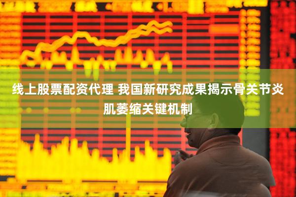 线上股票配资代理 我国新研究成果揭示骨关节炎肌萎缩关键机制
